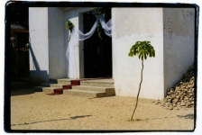 red-carpet-puerto-escondido